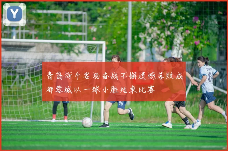 青岛海牛客场奋战不懈遗憾落败成都蓉城以一球小胜结束比赛