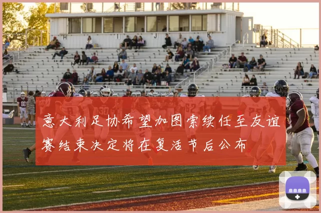 意大利足协希望加图索续任至友谊赛结束决定将在复活节后公布