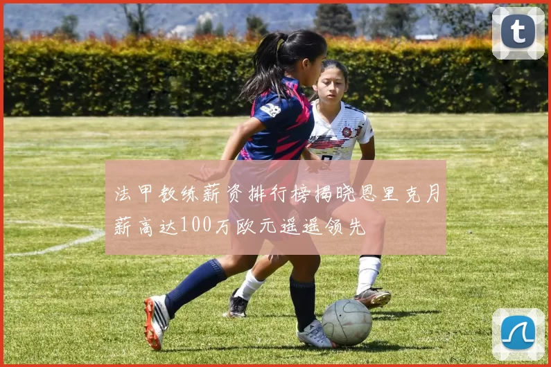 法甲教练薪资排行榜揭晓恩里克月薪高达100万欧元遥遥领先